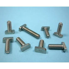 High Quality Stainless Steel and Carbon Steel T Bolt Made in China